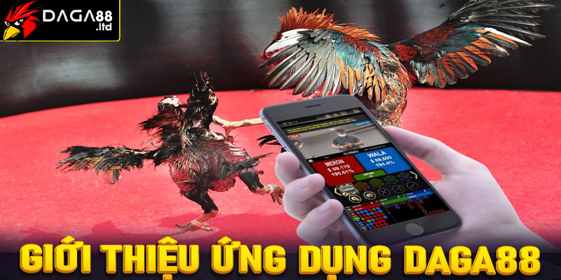 Giới thiệu sơ bộ về ứng dụng cá cược daga88 