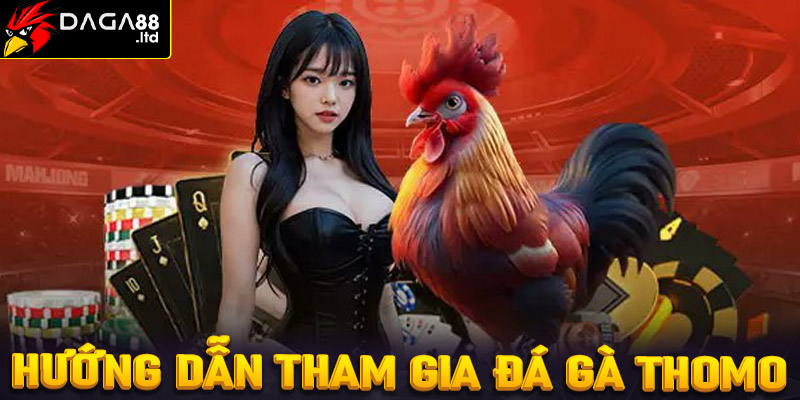 Hướng dẫn đầy đủ các bước tham gia cá cược đá gà Thomo 